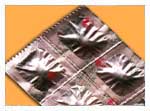 Strip Foil